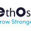 ETHOSS SYNTHETIC BONE GRAFT - image 4