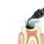 SABLE SEEK REFILL - image 6
