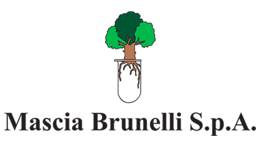 Logo MASCIA BRUNELLI